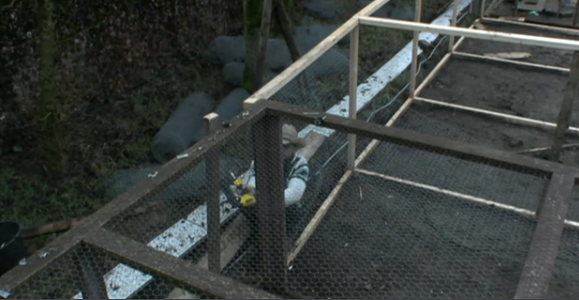 Danny bezig met kippenhok