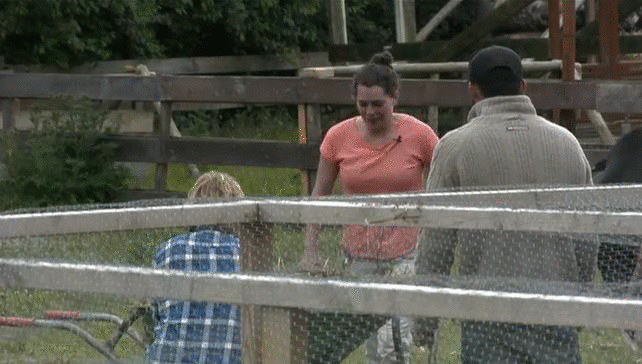 Madelon met hoofd in koeienvlaai