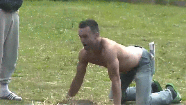 Mark stopt hoofd in koeienvlaai