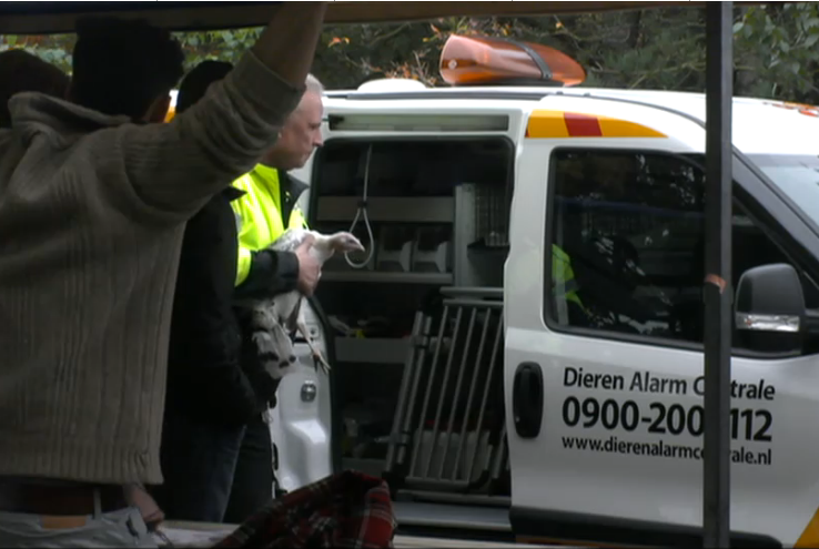 Dierenambulance met spoed naar Utopia