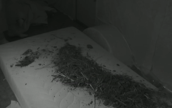 Oud bewoners Emil en Gio halen een grap met Ruud uit