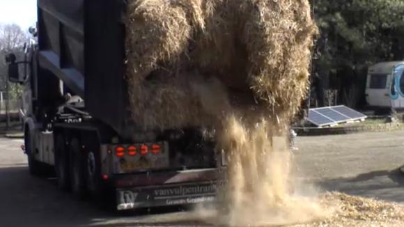 Een vrachtwagen stort een lading hooi op het terrein