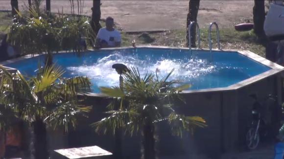 De speurtocht naar het gouden ei