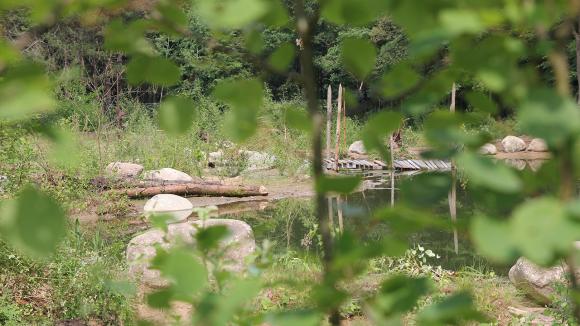 De eerste rondleiding in Utopia 2 vindt plaats op 9 juni