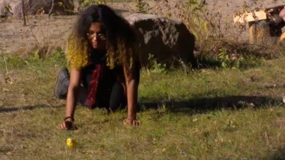 De bewoners vinden een tamme parkiet op het terrein en schakelen de dierenambulance in