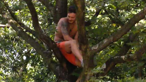 Mike zondert zich af van de groep en klimt de boom in